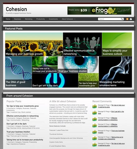 cohesion-post-image1